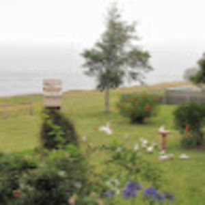 Meet your Posher, Numa